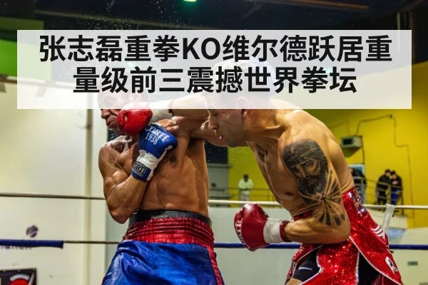 张志磊重拳KO维尔德跃居重量级前三震撼世界拳坛
