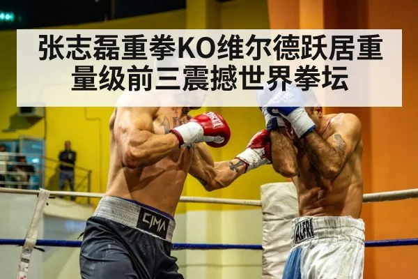 chinese heavyweight boxer
